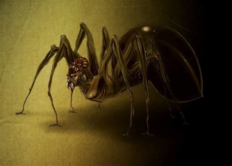 The Magical Powers of Anansi's Rod: A Closer Look